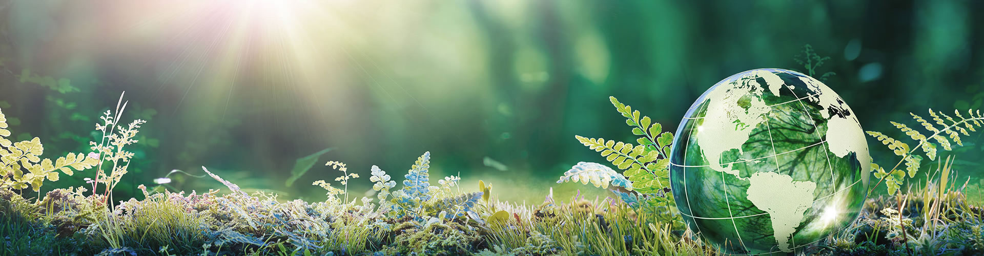 SUSTAINABILITY サステナビリティへの取り組み